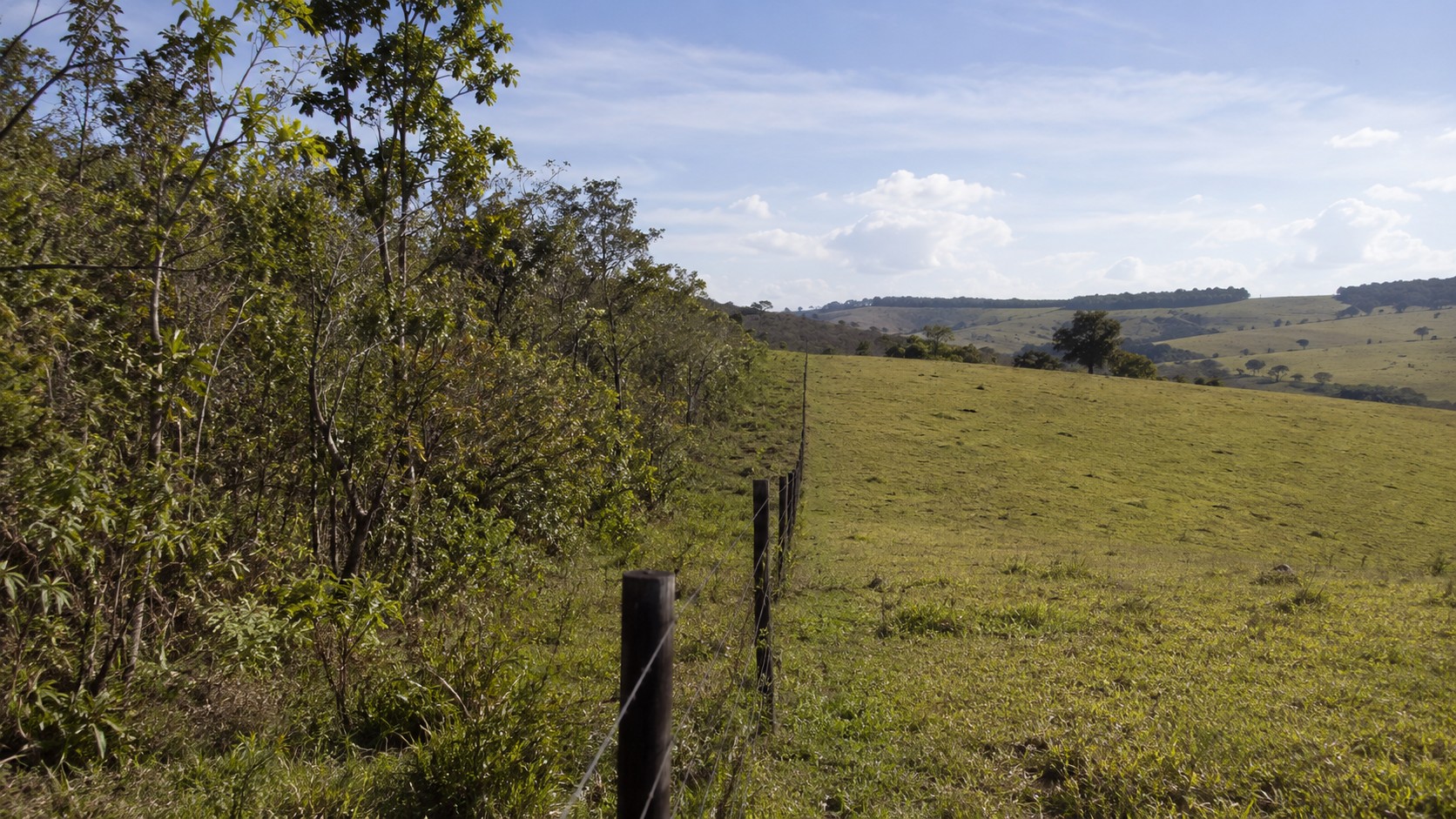 Vegetação nativa cercada ao lado de uma pastagem, representando possíveis estados de regularização ambiental rural.