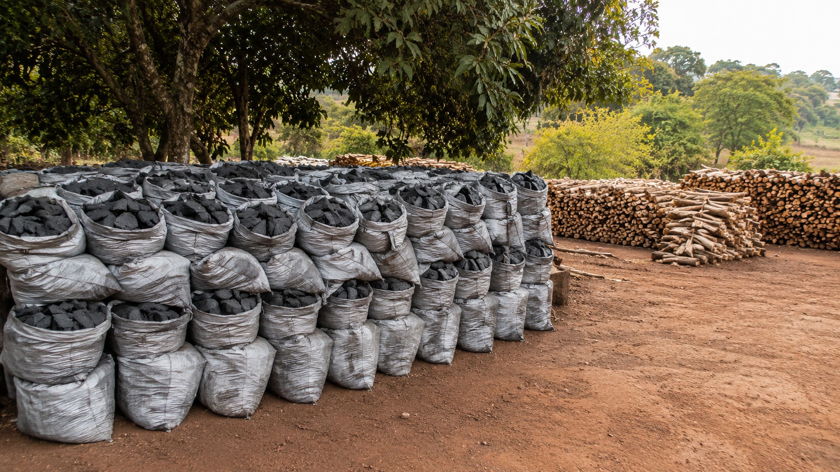 Pátio com sacos de carvão em referência a Cadastro, Registro e Controle Floresta por uso de madeira de floresta plantada.