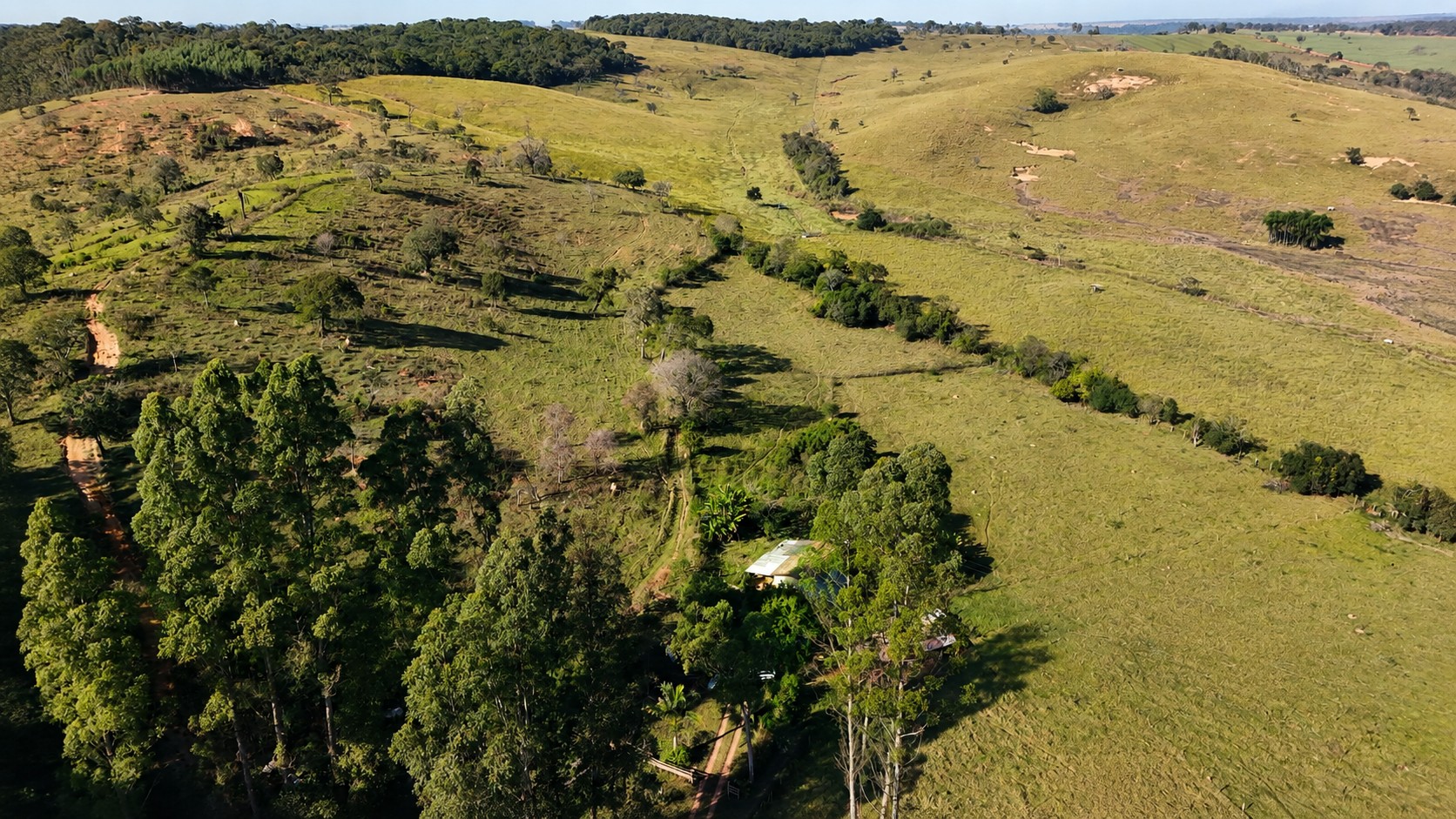 Foto mista, com área de árvores, área de pastagem e área parcialmente degradada e que necessita de recuperação de área degradada.